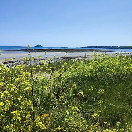 Bed & Breakfast Ashlee Lodge, P25k6r6 Near Ballymaloe House & Garryvoe 3*