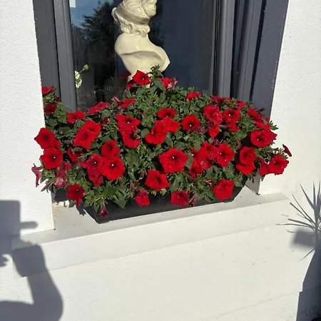 Ashlee Lodge, P25k6r6 Near Ballymaloe House & Garryvoe 3*